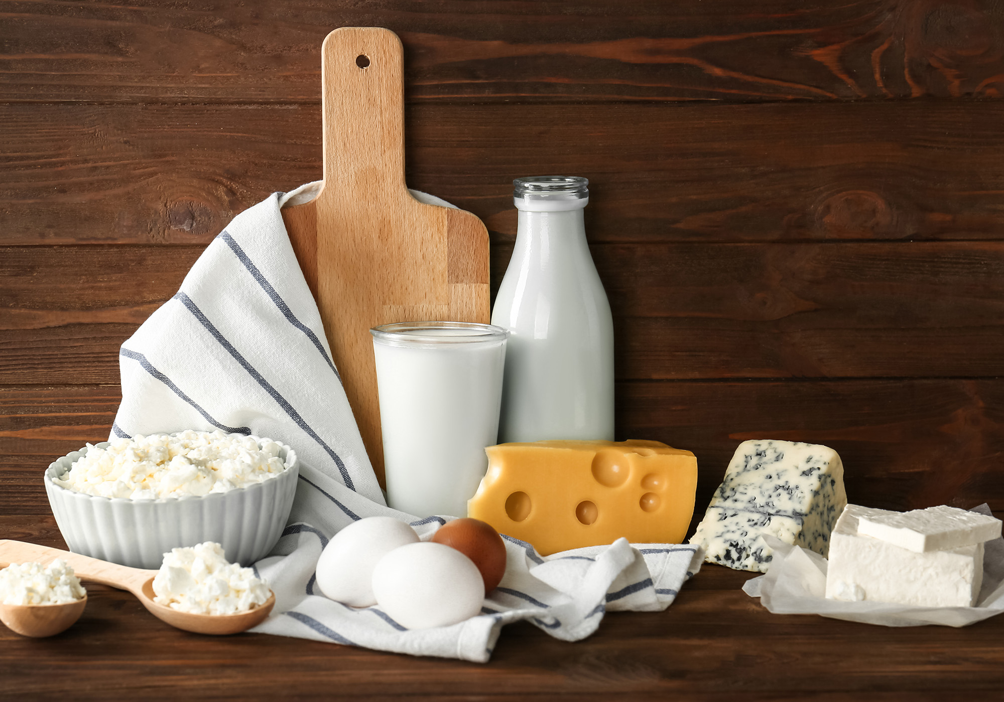 Dairy Stabilizers